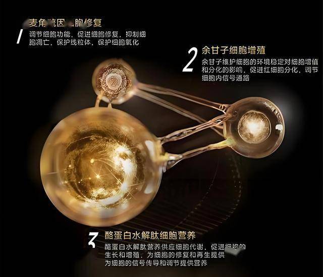百姓看联播｜裸眼3D穿越千年 “河北有礼”即刻打包